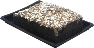 Bolo Chocolate Especial Rancho Bom Kg Bolo Chocolate Especial Rancho Bom Kg